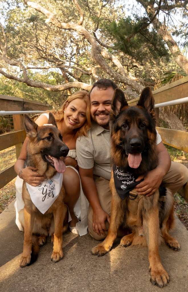 The Old Pine owners with their two German Shepherds on a wooded boardwalk