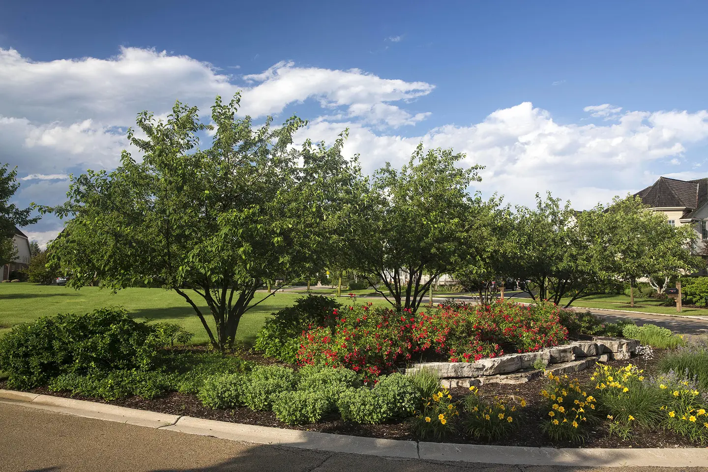 Landscaped island with flowering shrubs, trees, and natural stone edging