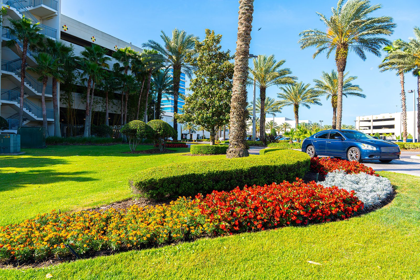 Manicured commercial grounds with palm trees and seasonal flower beds at a Jacksonville property