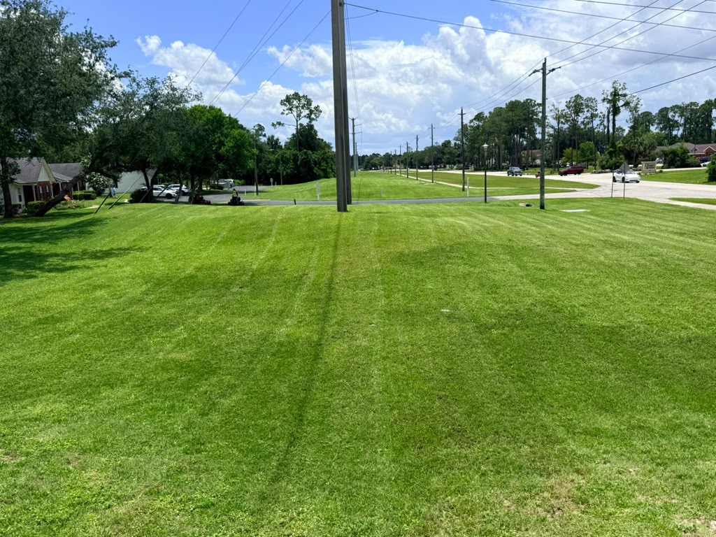 Wide expanse of freshly mowed and striped commercial turf beside a roadway